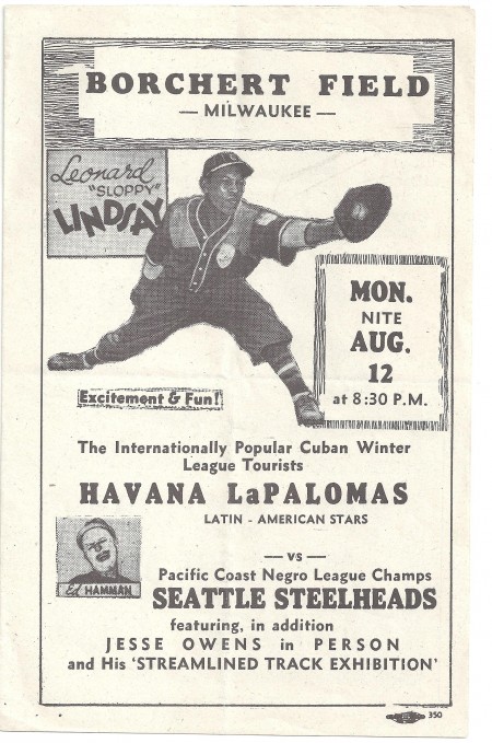 Steelheadshavana